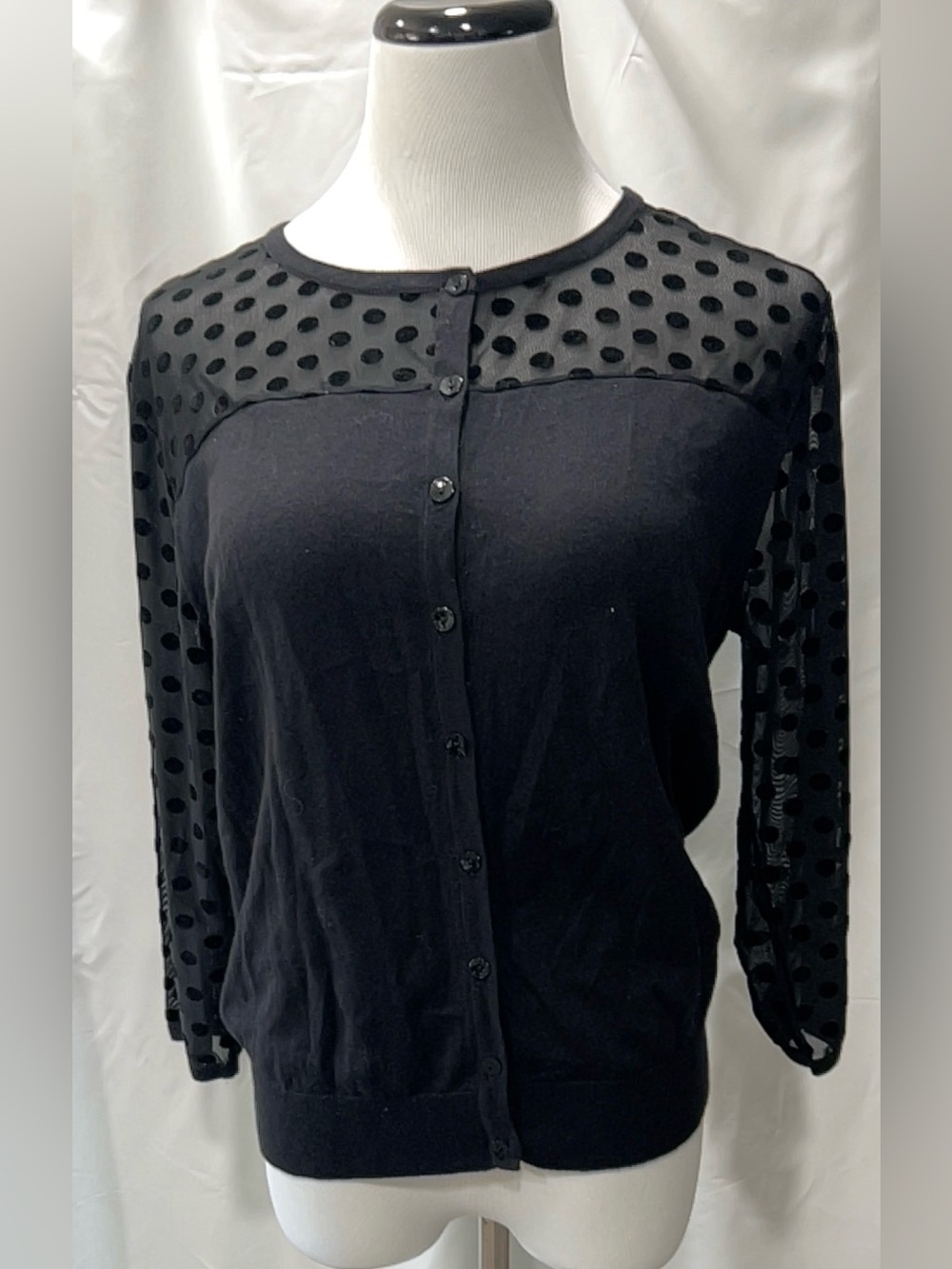 august silk Black Polka Dot Mesh Yoke Button-Down Top